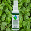 Hand Sanitizer Spray - 2 oz Travel Size (Peppermint) - Hot Lox Studio and Spa
