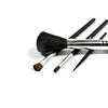 Danyel' Professional Cosmetics Brush Collection - Hot Lox Studio and Spa